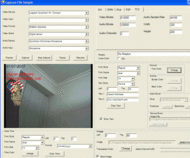 VISCOM Video Capture FLV MP4 SDK ActiveX screenshot